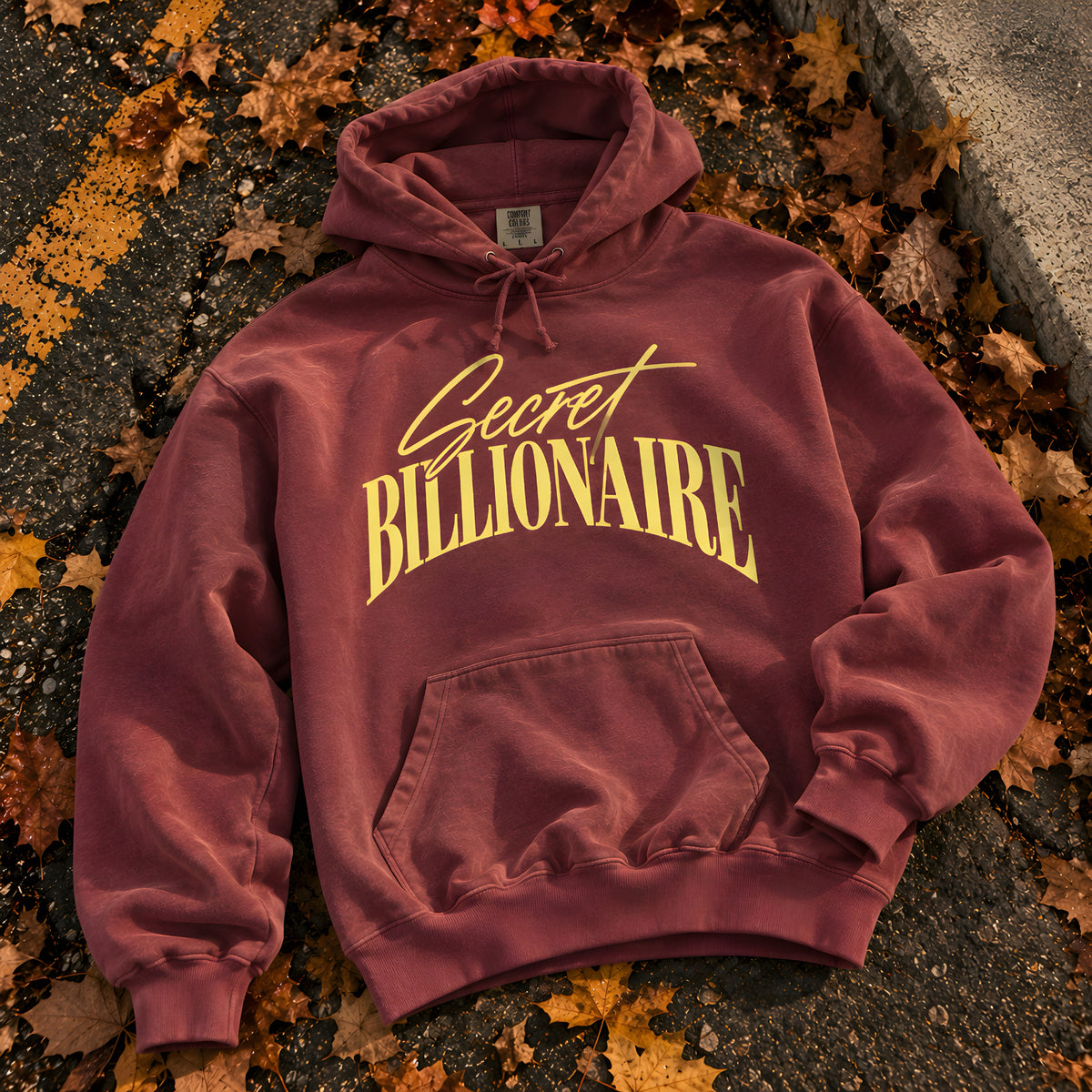 Secret Billionaire Hoodie